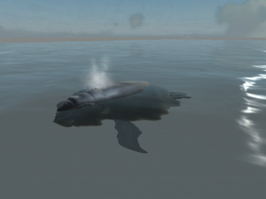 Southern right whale 3D Модель