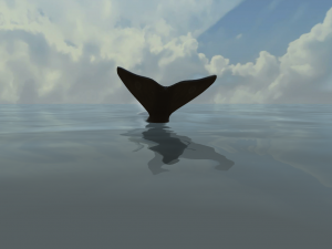 Southern right whale Modelo 3D