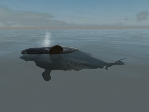 Southern right whale Modelo 3D