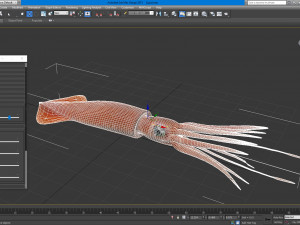 Illex squid Model 3D