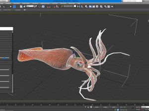 Illex squid Model 3D