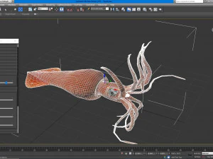 ヤブイカ 3Dモデル
