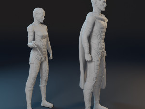 Dune movie characters 3D print model Modello di stampa 3D