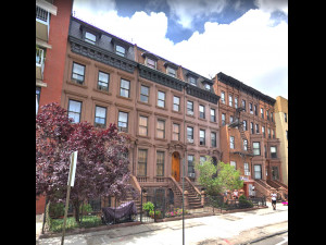 nyc city distric Model 3D