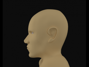 simple mens head Modèle 3D