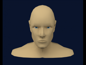 mens head low poly 3D Model