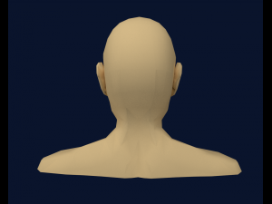 mens head low poly 3D Model