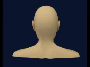 mens head low poly 3D Model