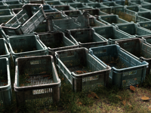 plastic crates for fruits and vegetables 3D Model