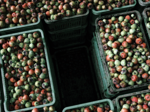 plastic crates for fruits and vegetables 3D Model