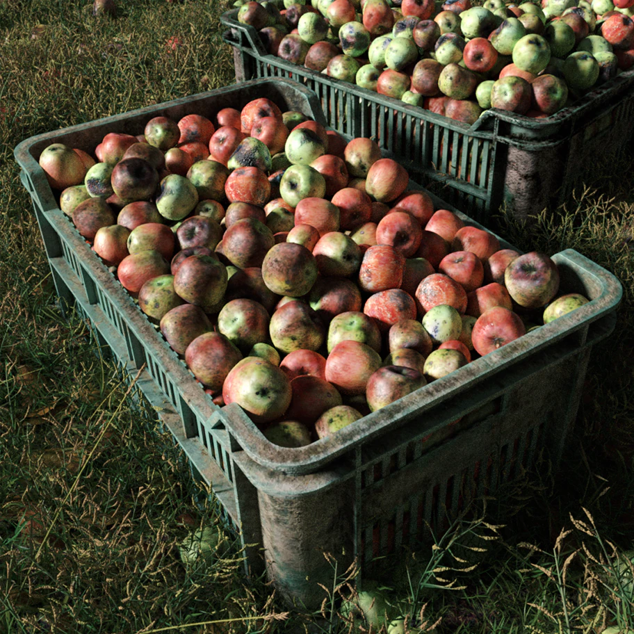 bruised apples 3D Model .c4d .max .obj .3ds .fbx .stl .blend 