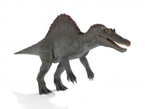 spinosaurus 3D Model