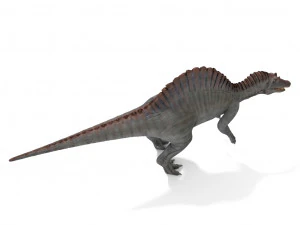 spinosaurus 3D Model