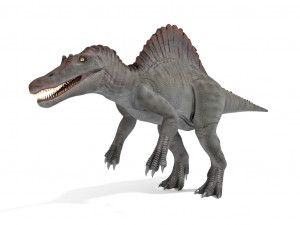 spinosaurus rigged Modelo 3D
