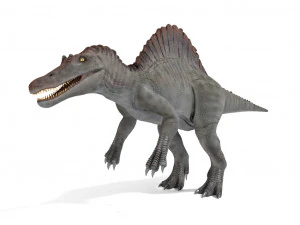 spinosaurus rigged 3D Model