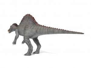 spinosaurus rigged Modelo 3D
