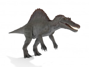 spinosaurus rigged Modelo 3D