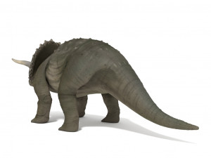 triceratops 3Dモデル