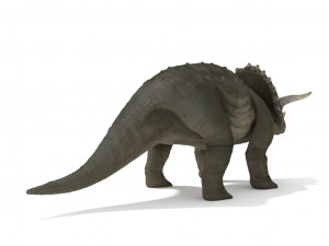 triceratops 3Dモデル