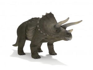 triceratops 3Dモデル