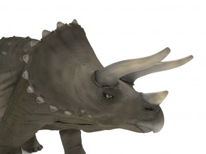 triceratops 3Dモデル