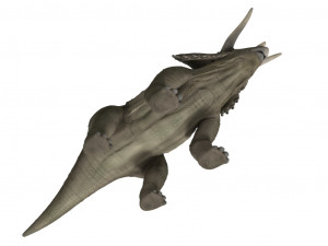 triceratops 3Dモデル