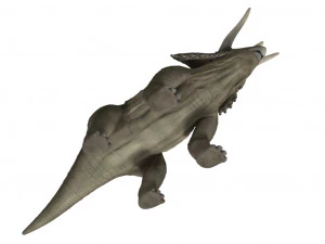 triceratops 3D Model