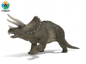 triceratops rigged 3D Models