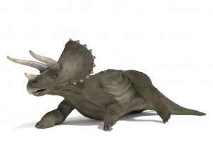 triceratops rigged 3D Model