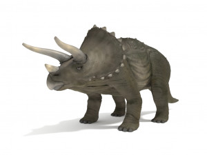 triceratops rigged 3D Model