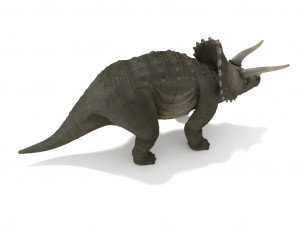 triceratops rigged 3D Model