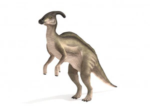 parasaurolophus rigged 3D Model