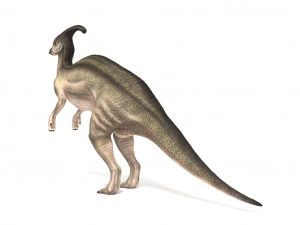 parasaurolophus rigged 3D Model