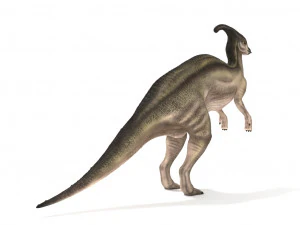 parasaurolophus rigged 3D Model