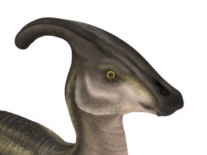 parasaurolophus rigged 3D Model