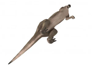 parasaurolophus rigged 3D Model