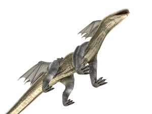 dragon 3Dモデル