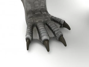 дракон 3D Модель