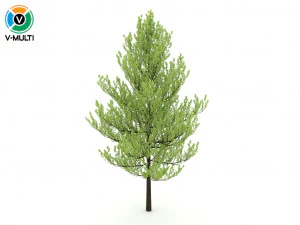 стандартное дерево 3D Модель