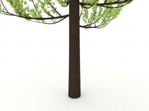 standard tree 3D-Modell