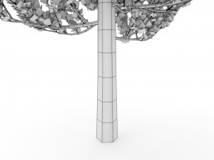 standard tree 3D-Modell