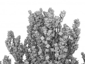 standard tree 3D-Modell
