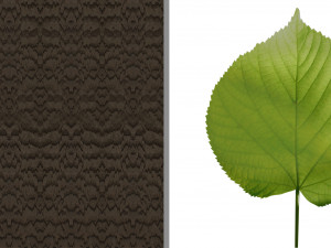standard tree 3D-Modell