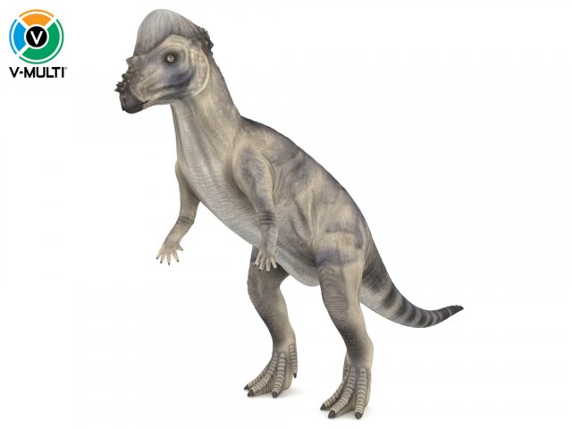 pachycephalosaurus 3D Модель .c4d .max .obj .3ds .fbx .stl .blend 