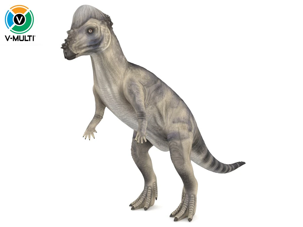 пахицефалозавр 3D Модель .c4d .max .obj .3ds .fbx .stl .blend 