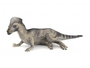 pachycephalosaurus rigged Modelo 3D