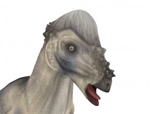 pachycephalosaurus rigged 3D Model