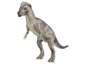pachycephalosaurus rigged Modelo 3D