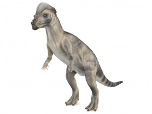 pachycephalosaurus rigged 3D Model