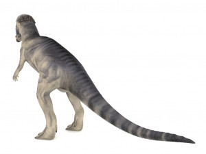 pachycephalosaurus rigged Modelo 3D